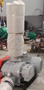 羅茨鼓風(fēng)機